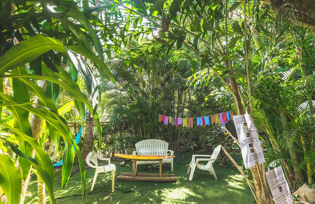 Pura Vida Hostel Tamarindo-1