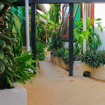 Pura Vida Hostel Tamarindo-3