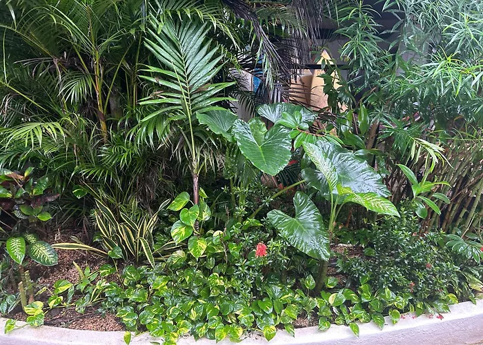 Pura Vida Hostel Tamarindo